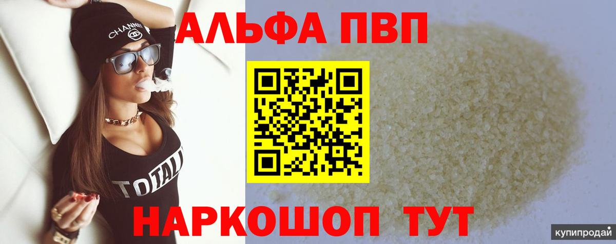 A PVP СК Дальнегорск