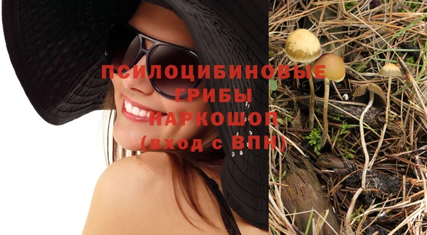 spice Балабаново