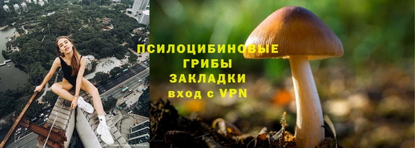 молекула духа Балахна
