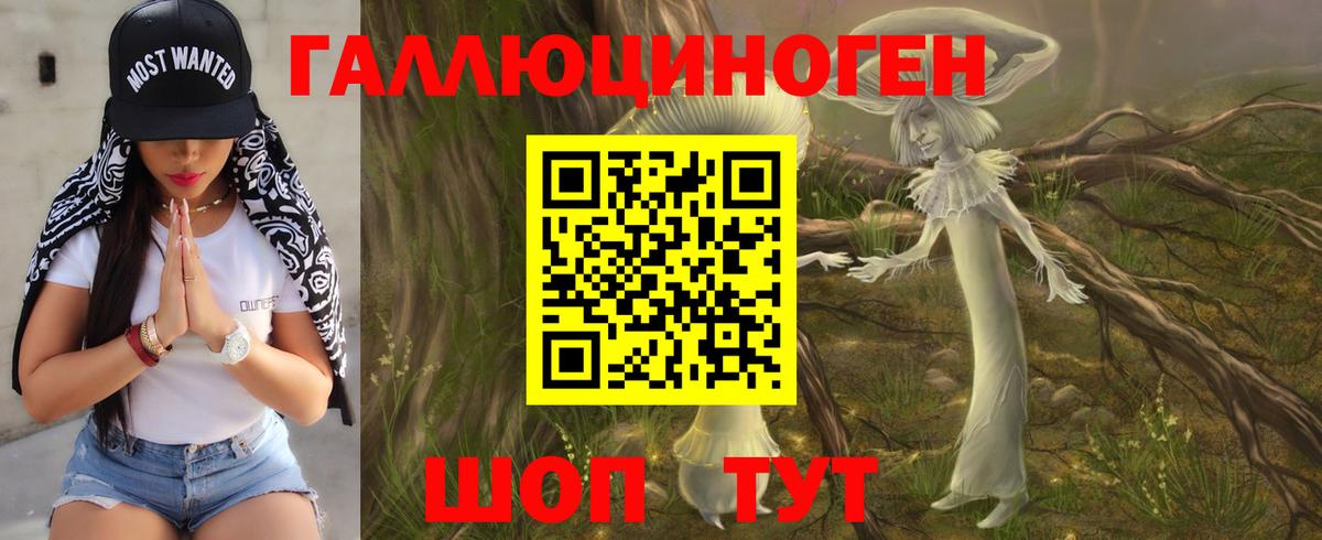 Галлюциногенные грибы прущие грибы Дальнегорск