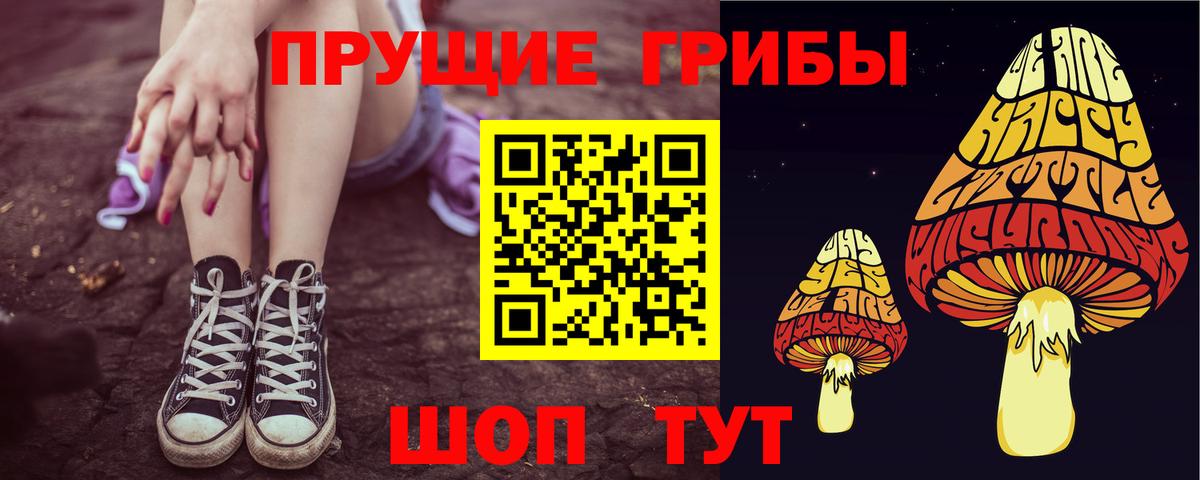 Псилоцибиновые грибы Psilocybine cubensis Дальнегорск