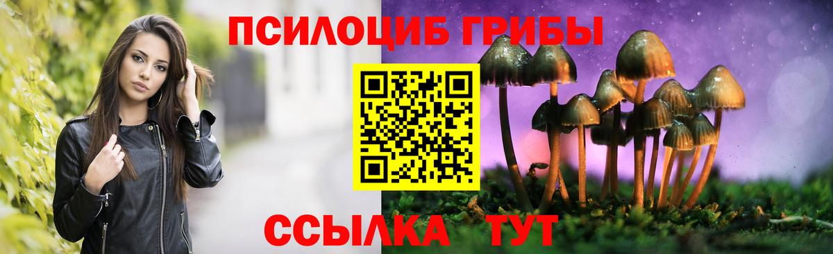 Псилоцибиновые грибы ЛСД  Дальнегорск 